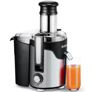 آبمیوه گیری فلرPJ850